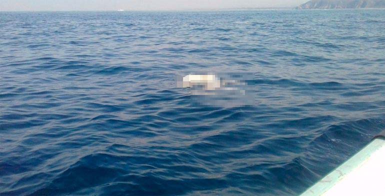 Encuentran en mar de Oaxaca cadáver que podría ser de turista - cadaver-oaxaca
