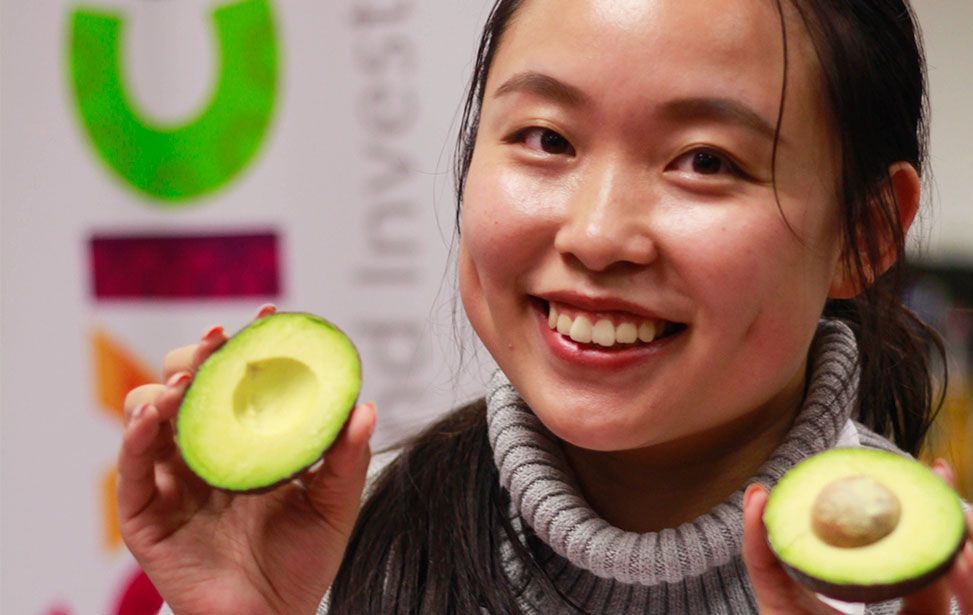 Mercado mundial de aguacate en riesgo - china-aguacate