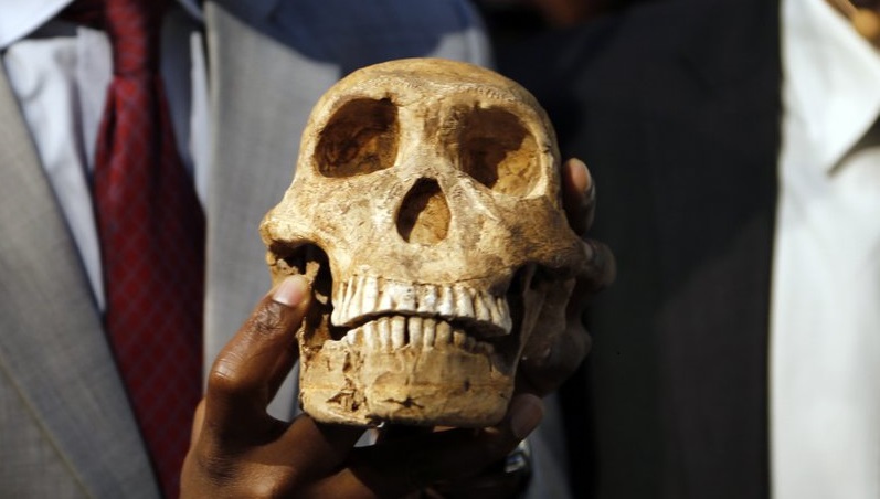 Surgen nuevos datos sobre ancestros del ser humano