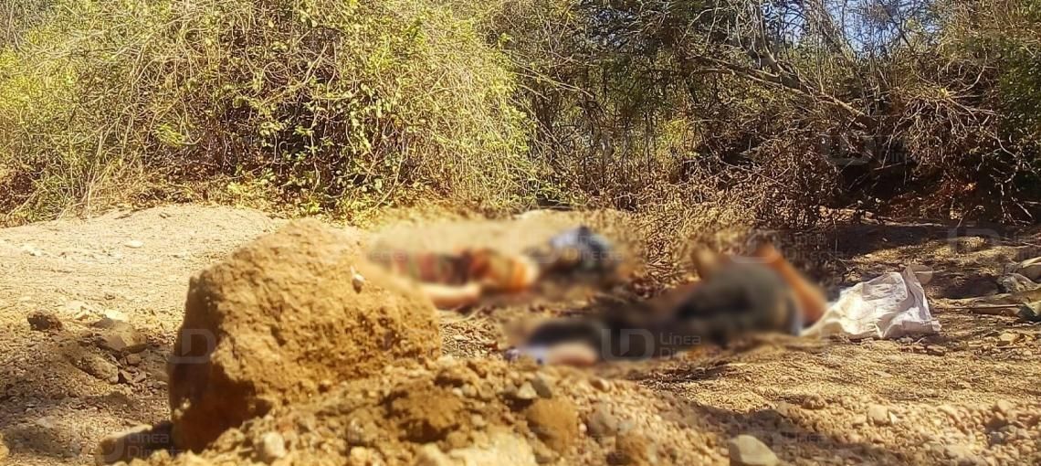 Jornada violenta deja al menos 12 muertos en Sinaloa - ejecutados-sinaloa