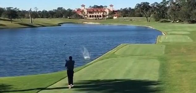 #Viral Golfista mata accidentalmente a un pato en pleno vuelo