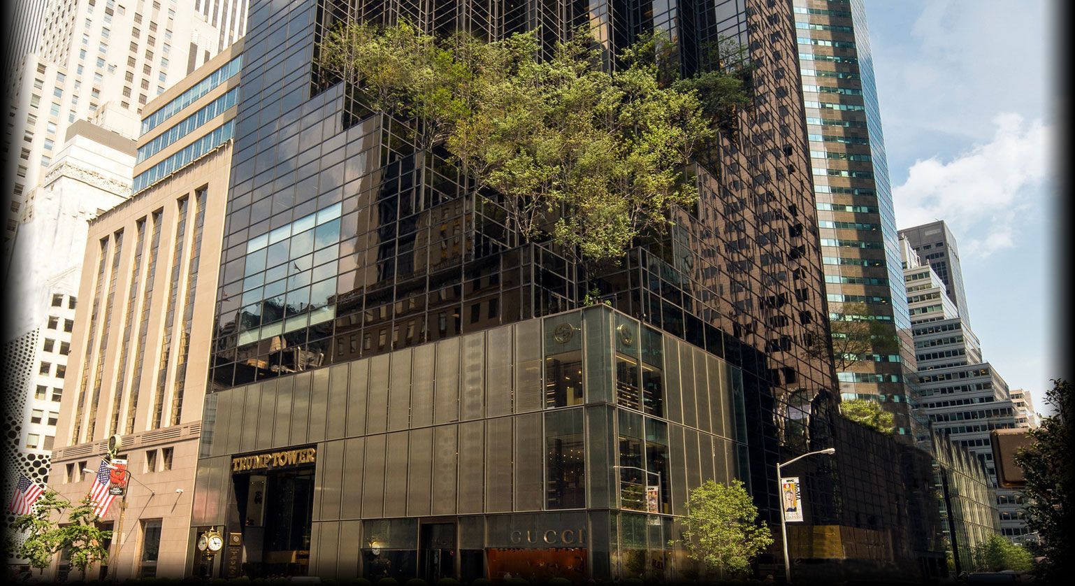 Multan a residente de Torre Trump por anunciar propiedad en Airbnb - homepage-bg-tree