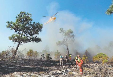 Incendio consume 100 hectáreas de matorral en Nuevo León