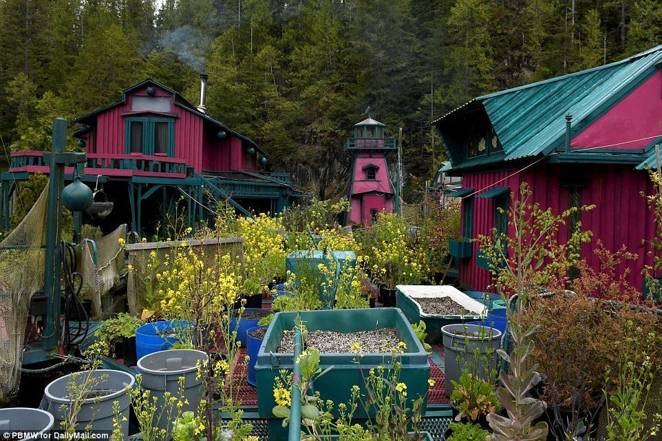 #Imágenes Pareja vive desde hace 25 años en su propia isla sustentable - isla-11