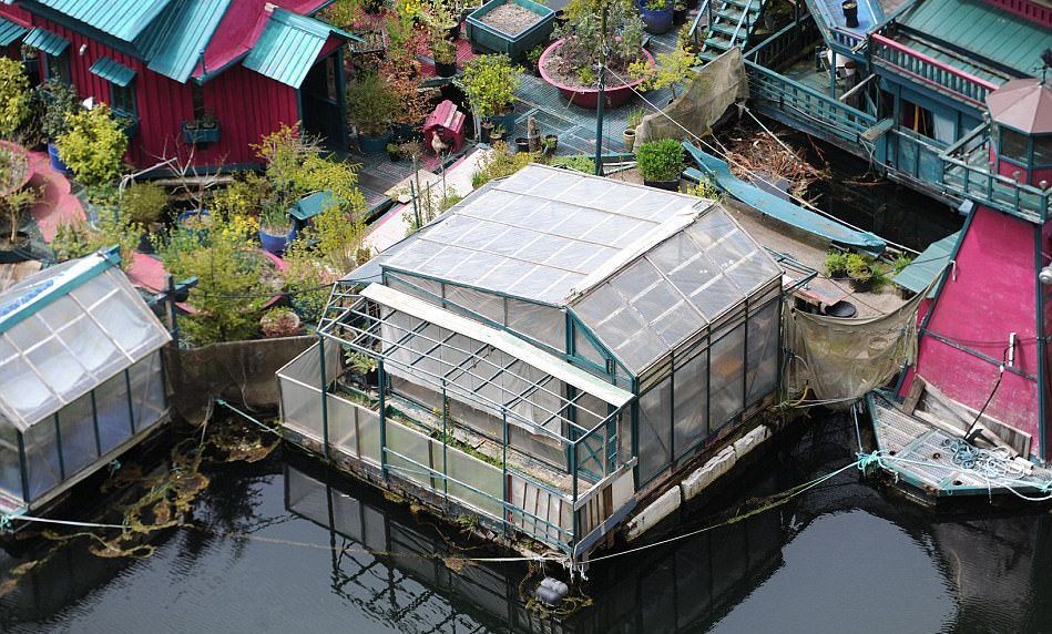 #Imágenes Pareja vive desde hace 25 años en su propia isla sustentable