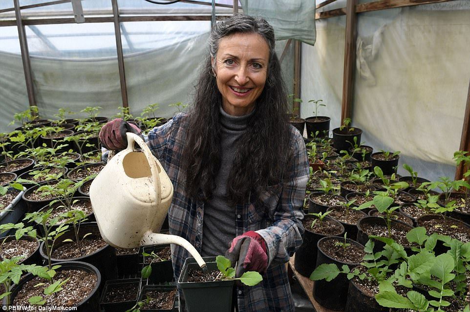 #Imágenes Pareja vive desde hace 25 años en su propia isla sustentable - isla-9