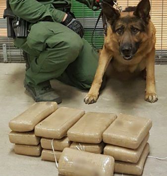 Aseguran 30 kilogramos de mariguana ocultos en ataúd - mariguana-arizona-e1493661781894