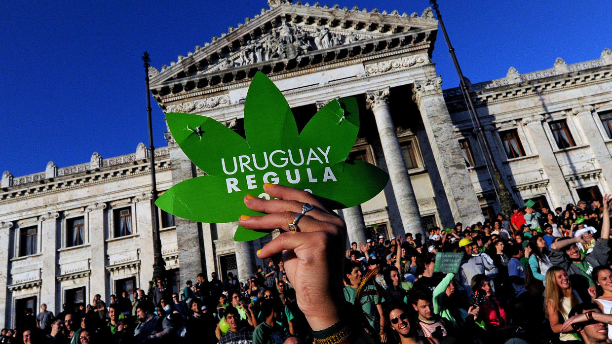 Uruguay abre inscripciones para comprar mariguana en farmacias - mariguana-uruguay