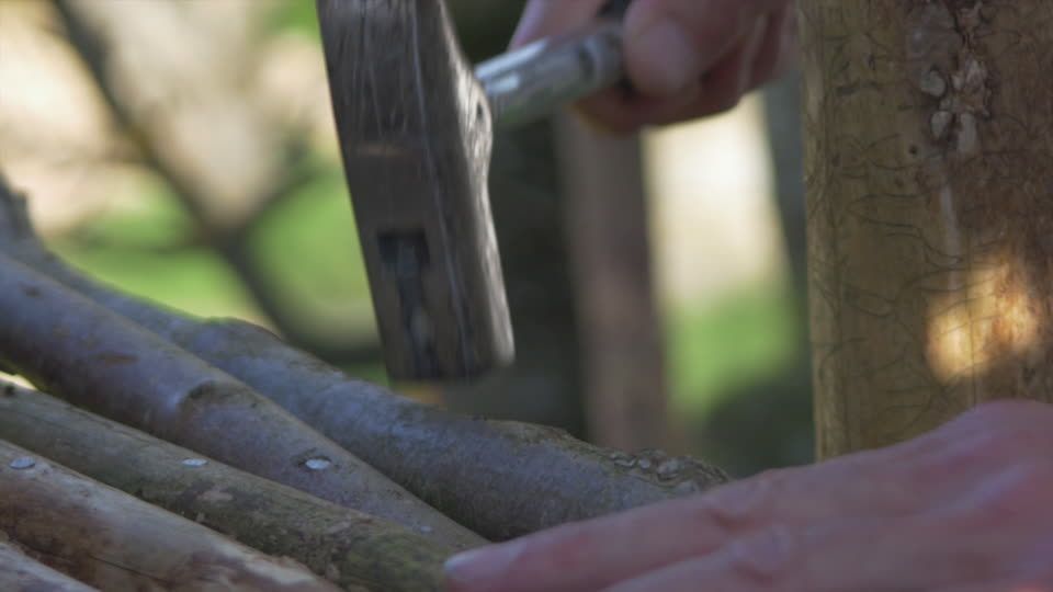 Encuentran hombre con manos clavadas en árbol en Nuevo México - martillo-clavo