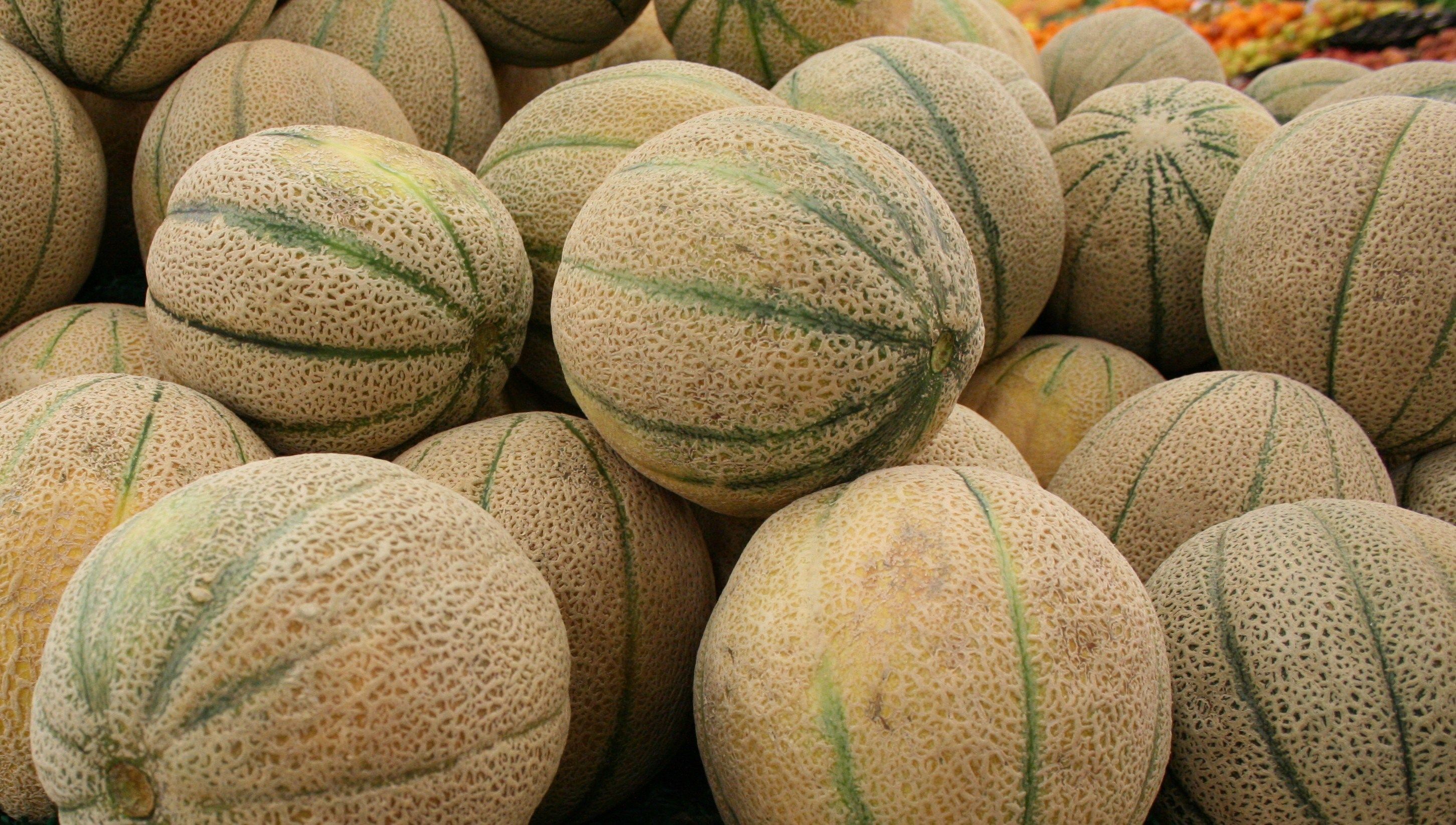 Subastan dos melones por más de 13 mil dólares en Japón - melon