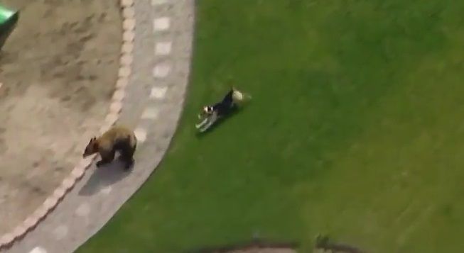 #Viral Perro ahuyenta a oso de casa en California