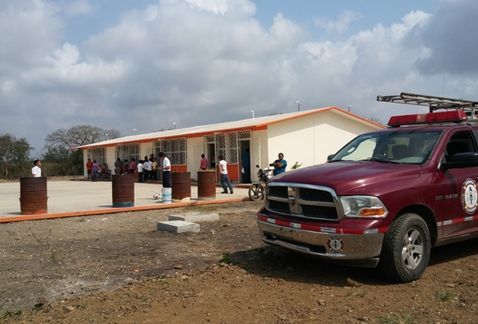 Alertan por avistamiento de puma en escuela de Tamaulipas