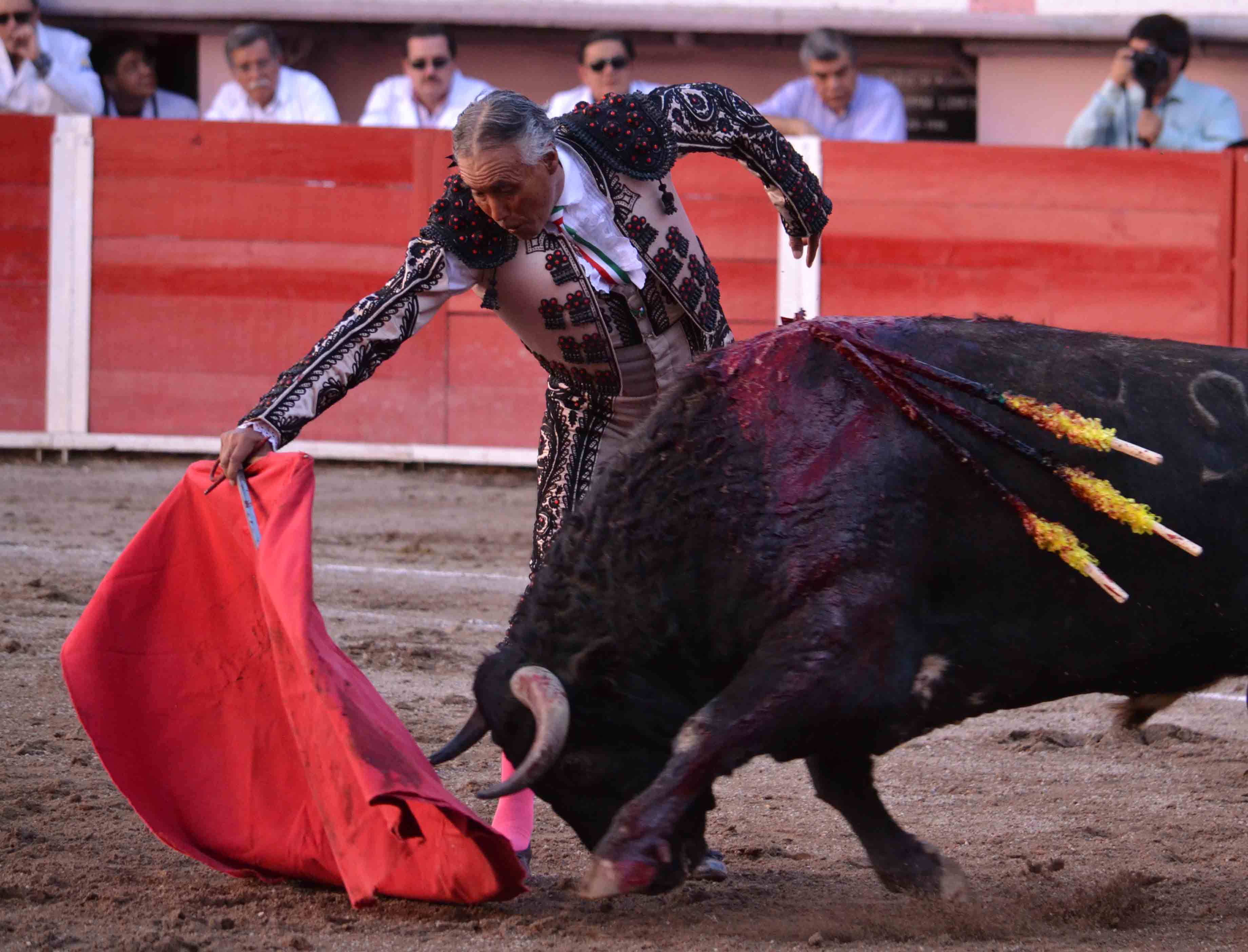 A un año de la cornada mortal de Rodolfo Rodríguez “El Pana” - rodolfo-rodriguez-el-pana-4