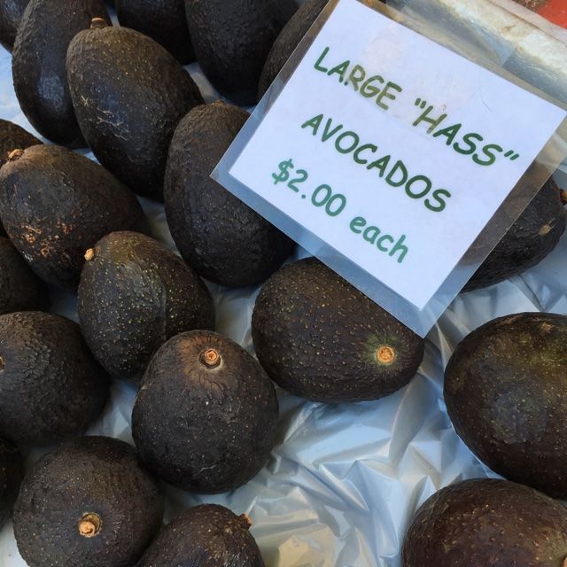 Mercado mundial de aguacate en riesgo - sp35354