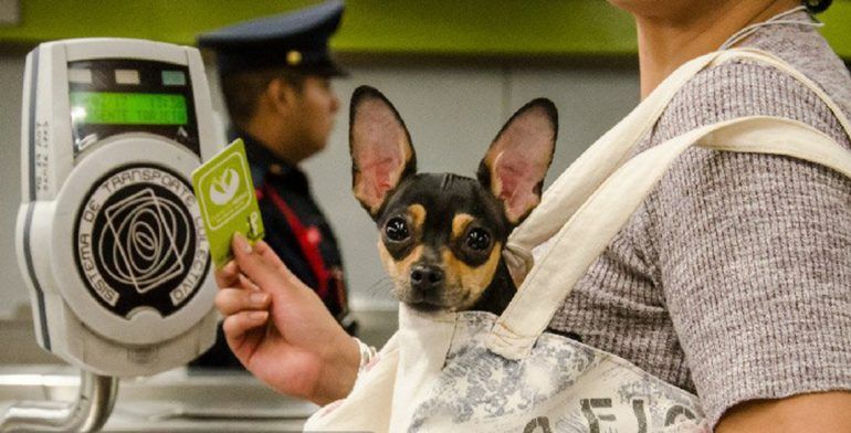 Prevén acceso al Metro con tarjetas de crédito y débito - tarjeta-metro