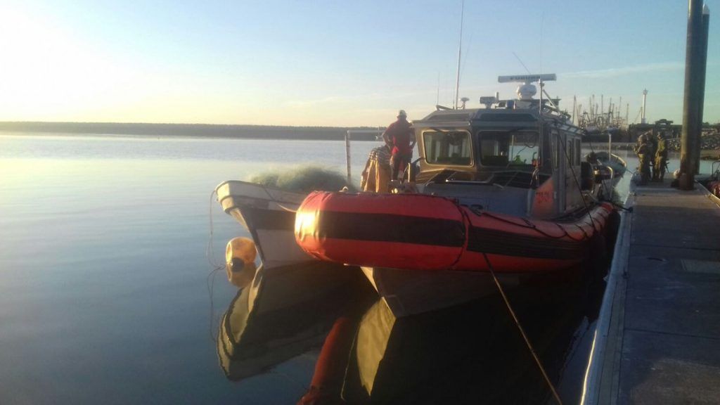 Detienen a cuatro por pesca ilegal en refugio de la vaquita marina - vaquita-marina-1-1024x576