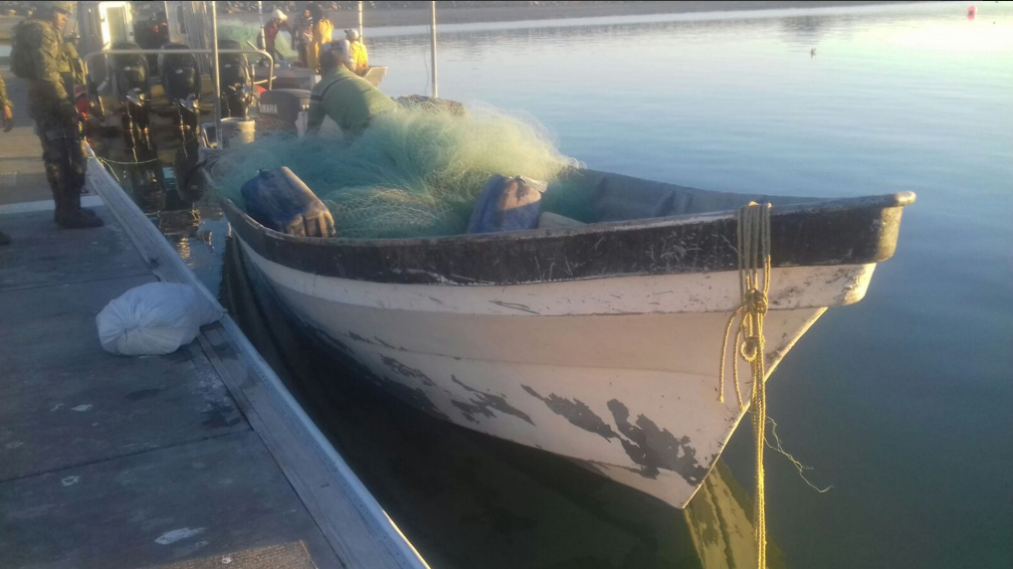Detienen a cuatro por pesca ilegal en refugio de la vaquita marina