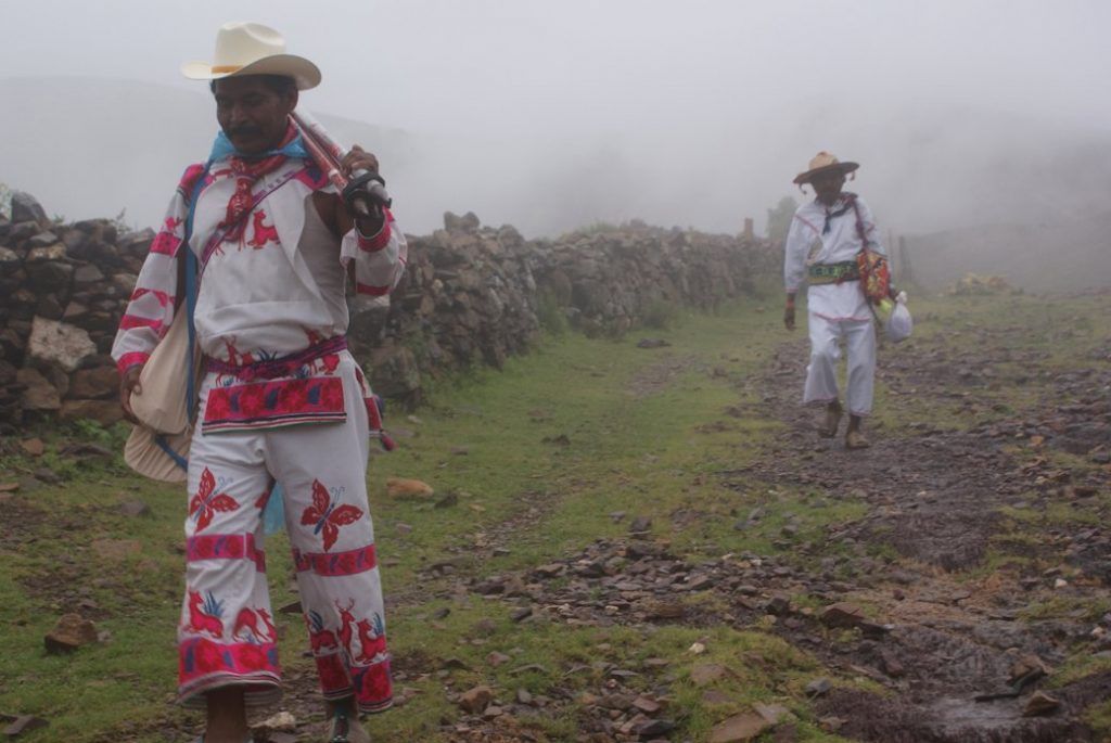 Investigan asesinato de líder wixárika y su hermano en Jalisco - wiraxika-1024x685