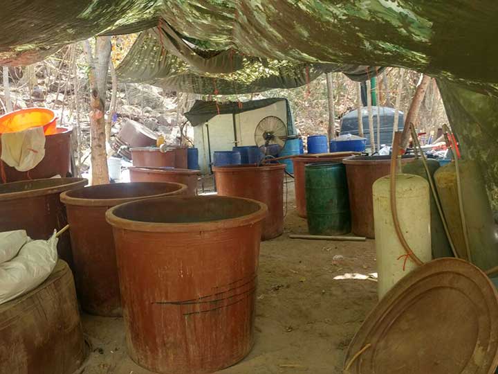 Desmantelan narcolaboratorio en Sinaloa