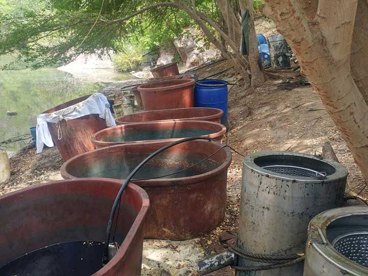 Desmantelan narcolaboratorio en Sinaloa - 4