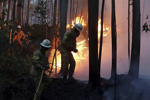 Al menos 62 muertos por incendios forestales en Portugal