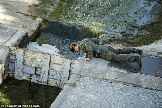 Padre mata a su hijo en Disneylandia tras divorcio - Aramazd-Andressian-Sr.-5