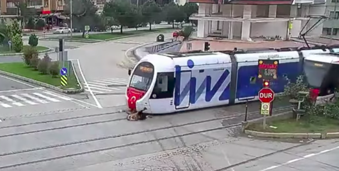 #Video Tranvía arrolla a mujer mientras veía su celular