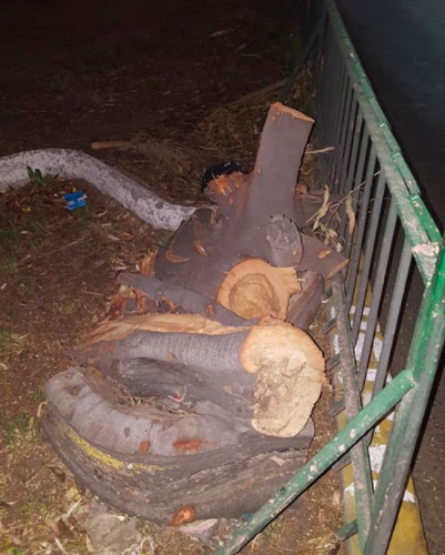 Suspenden de manera definitiva la Línea 7 del Metrobús - Captura-de-pantalla-2017-06-12-a-las-11.55.12