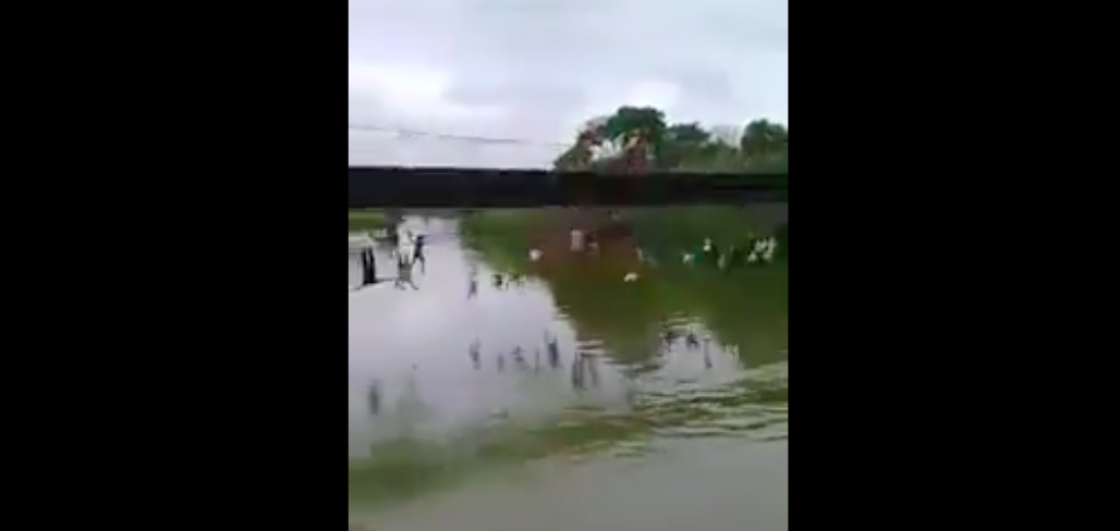 #Video Puente se rompe en Ecuador y más de 30 personas caen al agua