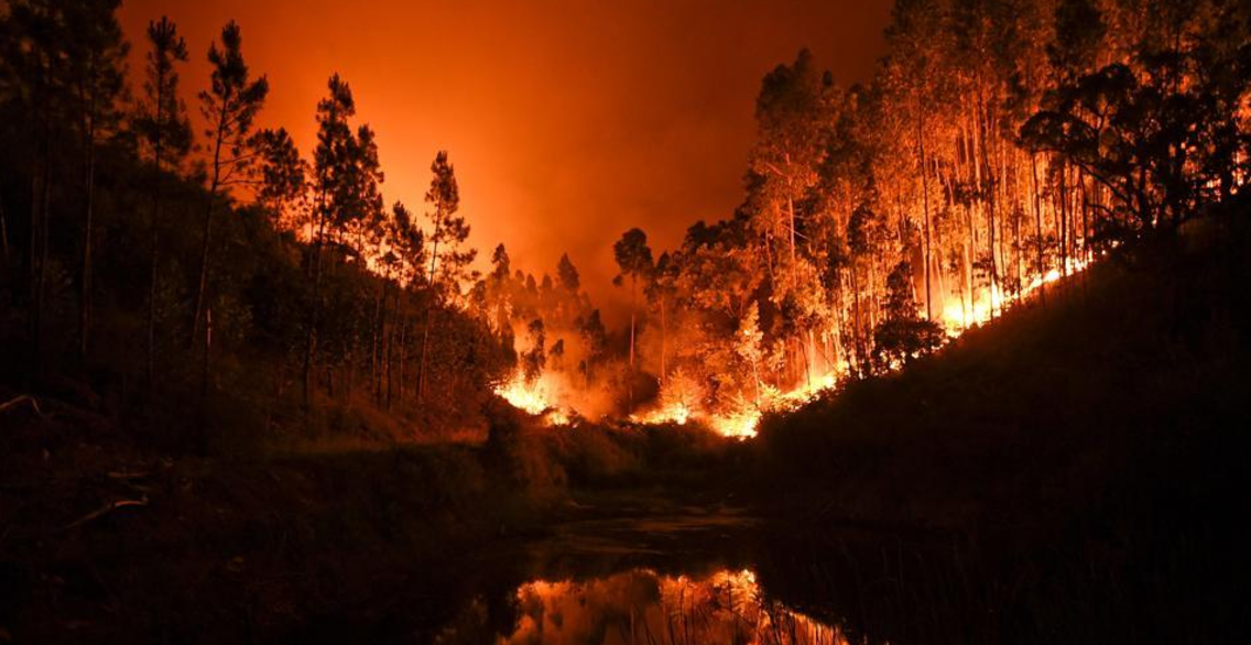 #Video La devastación del incendio en Portugal que ha cobrado 62 vidas