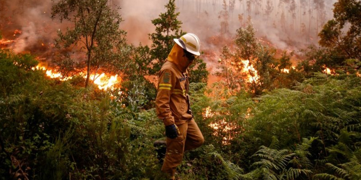 #Video La devastación del incendio en Portugal que ha cobrado 62 vidas - Captura-de-pantalla-2017-06-19-a-las-8.40.22