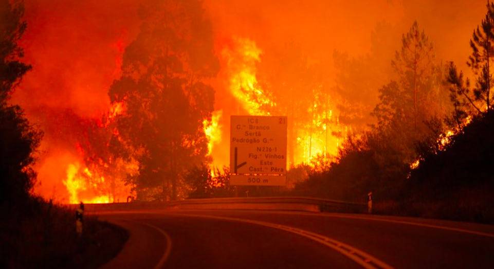 #Video La devastación del incendio en Portugal que ha cobrado 62 vidas - Captura-de-pantalla-2017-06-19-a-las-8.40.59
