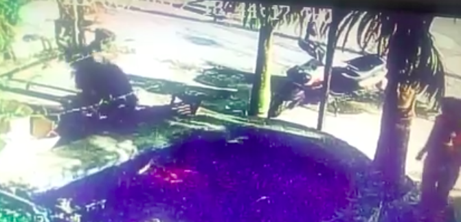 #Video Roba peces en acuario de Guadalajara