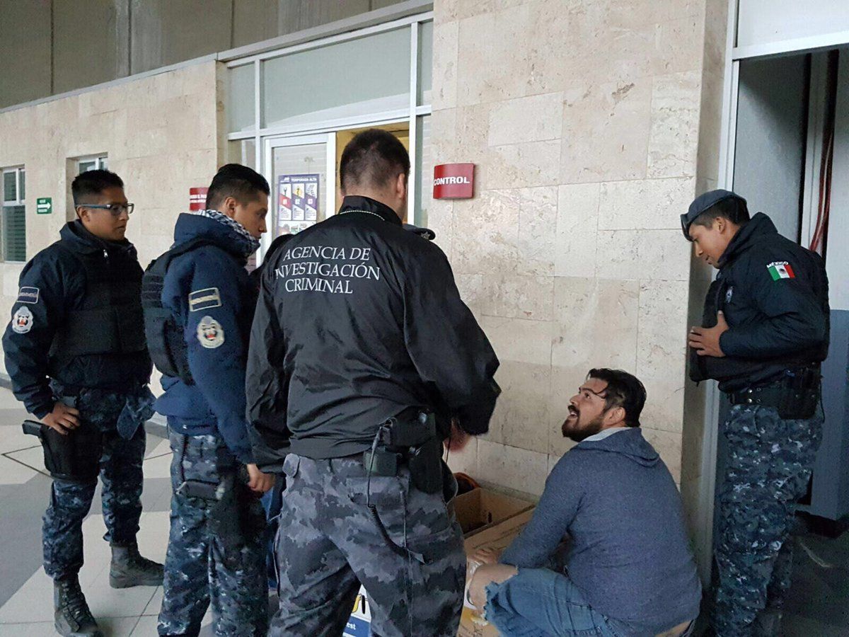 Aseguran 172 cocodrilos, tortugas e iguanas en la TAPO