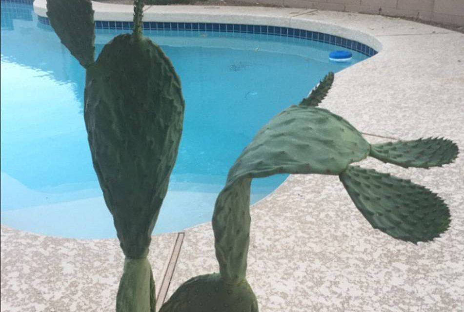 #Galería El calor derrite Arizona #Galería El calor derrite Arizona