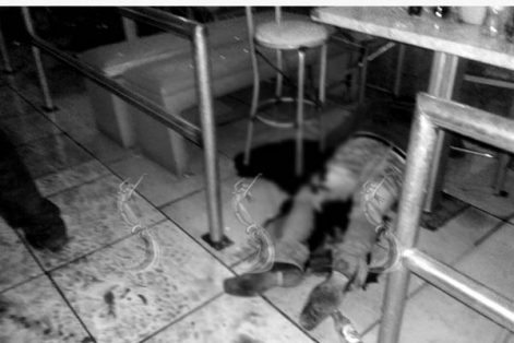 Hombre armado mata a seis personas en bar de Chihuahua - bar-chihuahua-el-heraldo