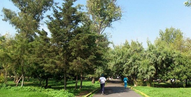 #Video Balean a hombre que defendió a adolescentes en el Bosque de Aragón