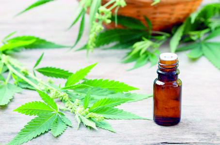 Se venderán medicamentos derivados de la mariguana en 2018 - cannabidiol-2