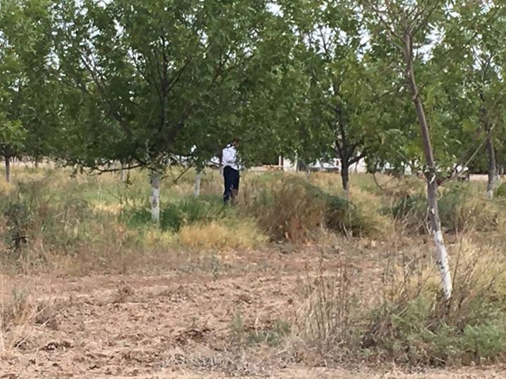 Catean rancho de exsecretario de Gobierno de Padrés - cateo-2