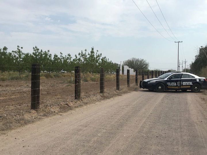 Catean rancho de exsecretario de Gobierno de Padrés - cateo-3