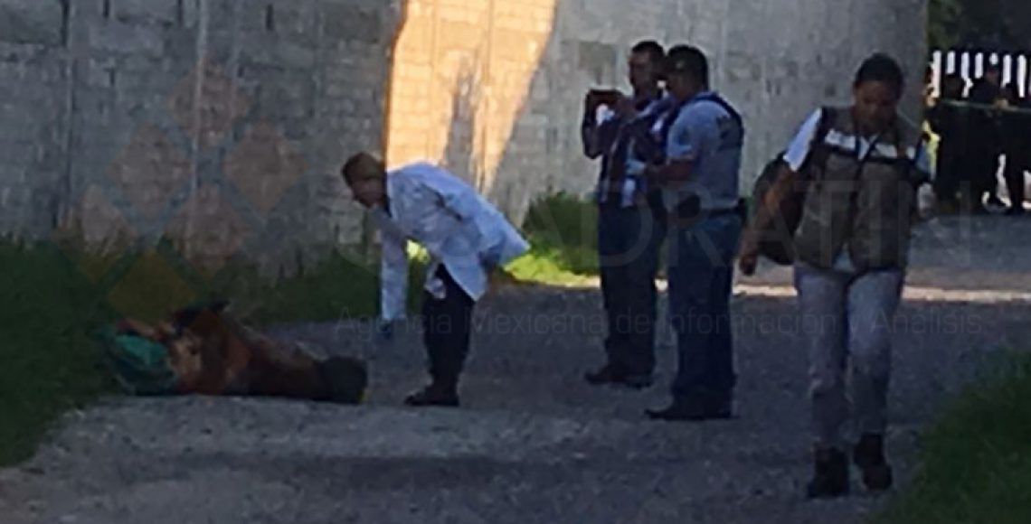 Arrojan dos cadáveres torturados frente a Semefo de Chilpancingo