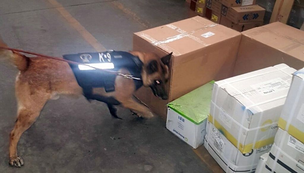 Encuentran droga en cosméticos en Tijuana