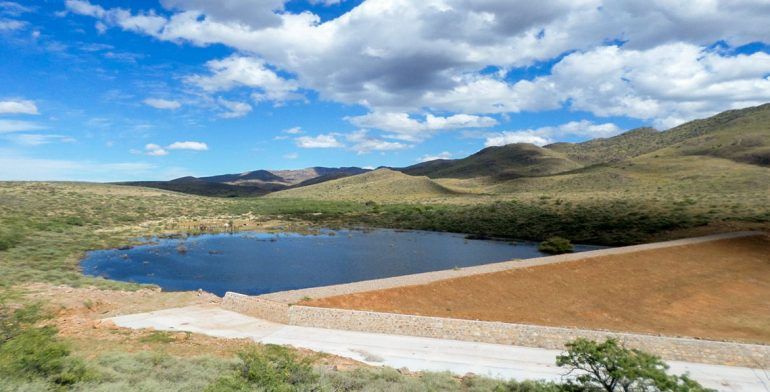 Prevén que desertificación desplace a 135 millones de personas para 2045