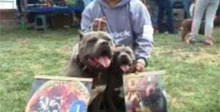 Detienen en Nezahualcóyotl a hombre por organizar pelea de perros - detenido-por-770x392