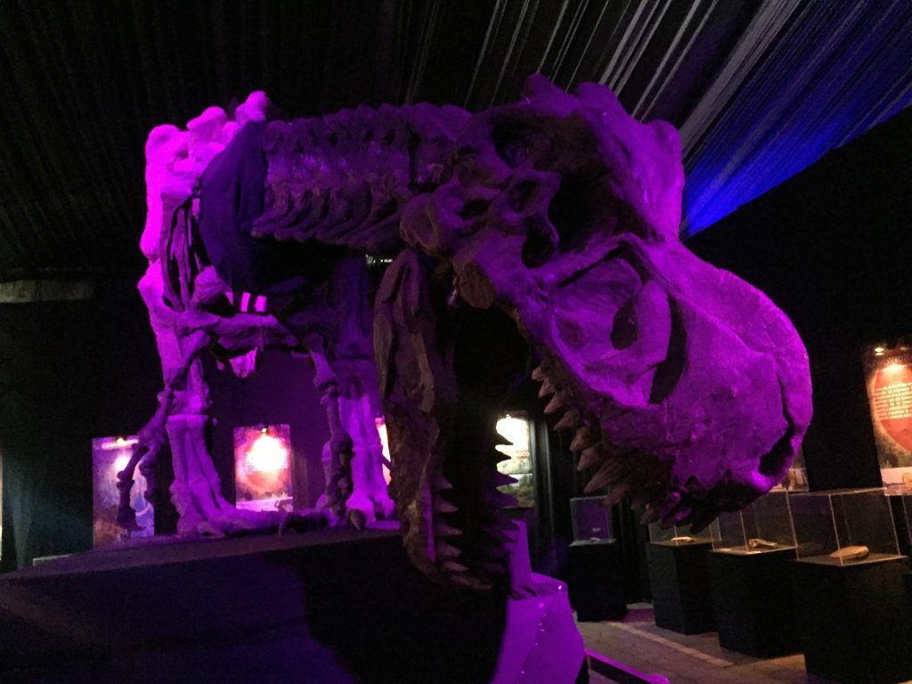 Regresan los dinosaurios a Naucalpan - dinosaurios-1024x768