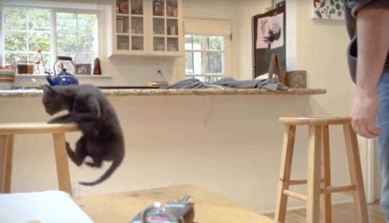 El video de PETA que causa indignación