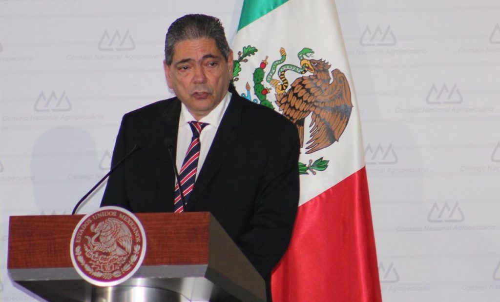 Prevén baja en el precio del aguacate en agosto - grayeb-1024x619