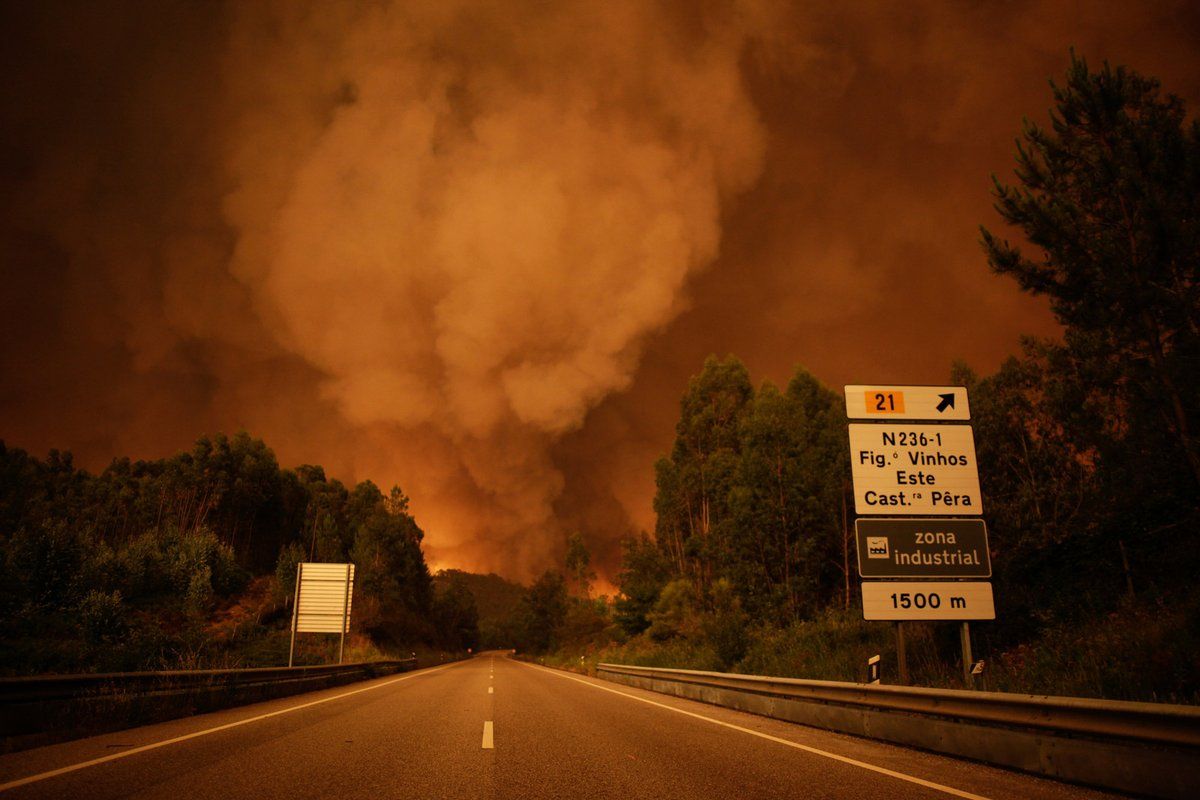 Al menos 62 muertos por incendios forestales en Portugal - incendios-portugal-2