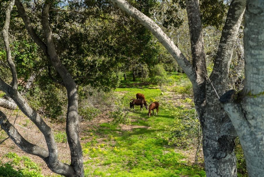 Kevin Costner vende mansión en 60 millones de dólares - kevin-costner-casa-11