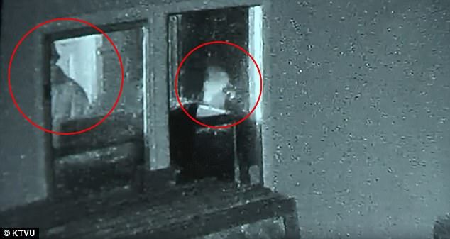 #Video Hombre mata a dos ladrones que irrumpieron en su casa #Video Hombre mata a dos ladrones que irrumpieron en su casa